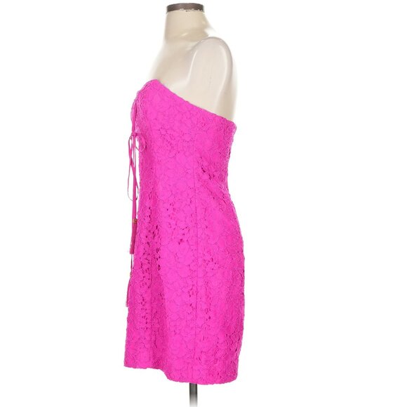 Lilly Pulitzer Floral Lace Berry Pink Strapless Convertible Demi Dress - Picture 8 of 16